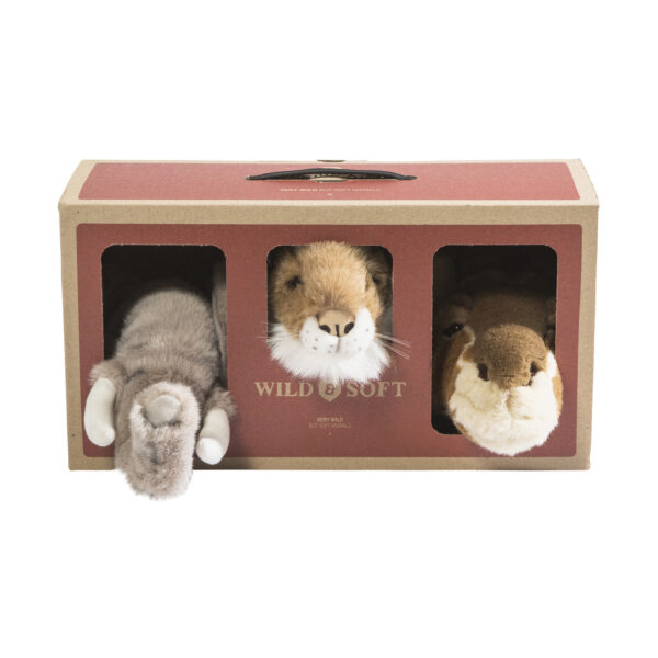 Wild & Soft Safari Box Mini | Leeuw